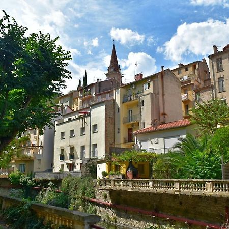 T2 Tout Confort Amélie-les-Bains-Palalda Eksteriør billede