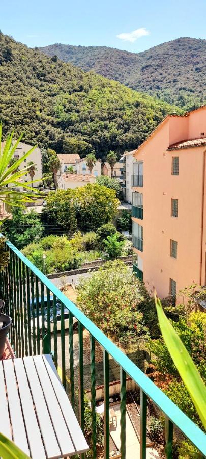 T2 Tout Confort Amélie-les-Bains-Palalda Eksteriør billede