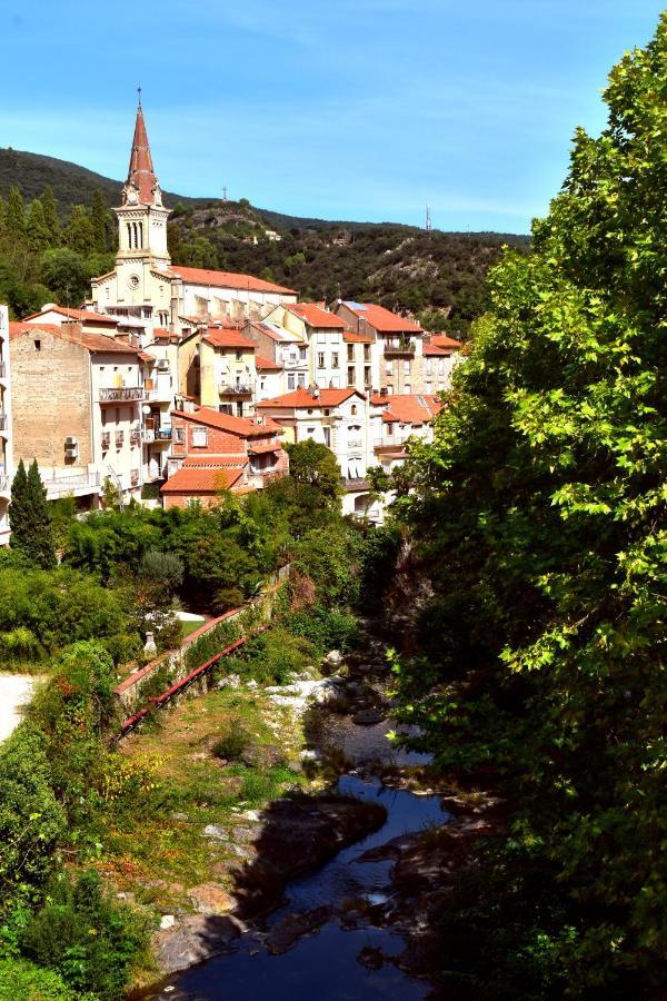 T2 Tout Confort Amélie-les-Bains-Palalda Eksteriør billede