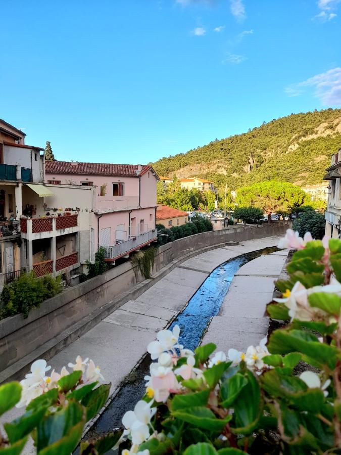 T2 Tout Confort Amélie-les-Bains-Palalda Eksteriør billede