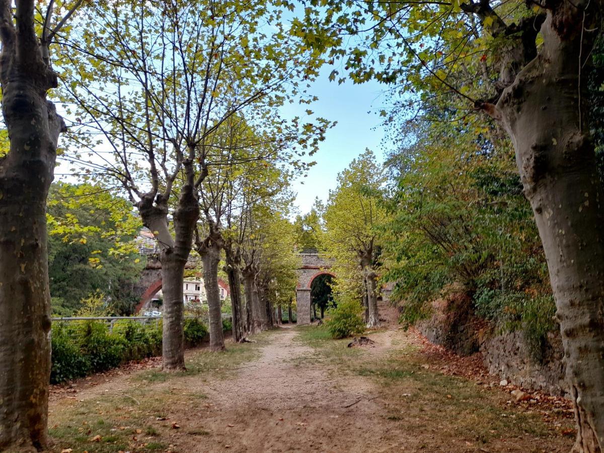T2 Tout Confort Amélie-les-Bains-Palalda Eksteriør billede
