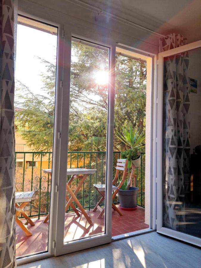 T2 Tout Confort Amélie-les-Bains-Palalda Eksteriør billede